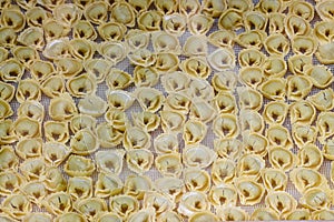 traditional Emilian tortellino filled pasta- photo