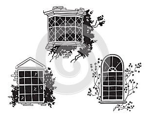 Traditional english victorian windows, architectural detail vector sketch