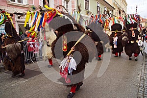 Kurentovanje 2024, Ptuj, Slovenia