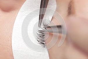 Traditional eyelash extensions. Selective focus. Makeup close-up.