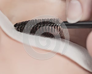 Traditional eyelash extensions. Selective focus. Toned. Makeup close-up.