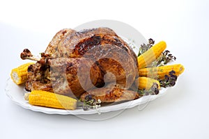 Traditional Fall Roasted Turkey on White With Pumpkin