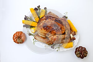 Traditional Fall Roasted Turkey on White With Pumpkin