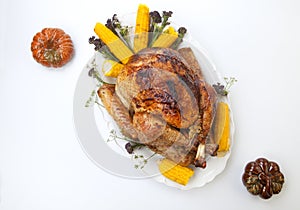 Traditional Fall Roasted Turkey on White With Pumpkin