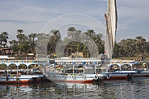 Traditional felluca sailing boat on Nile River