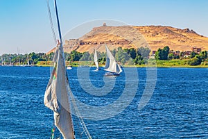 Traditional felucca boats on the Nile River