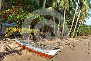 Traditional Filipino boat on the seashore, against a background of tropical trees.