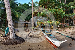 Traditional Filipino boat on the seashore, against a background of tropical trees.