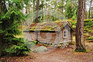 Traditional Finnish house photo