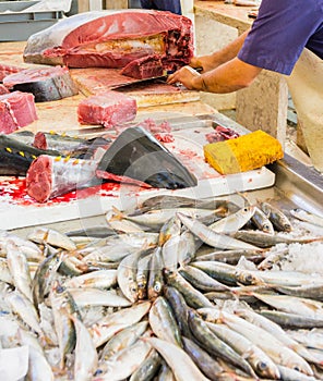 Traditional fish market Mercado dos Lavradores