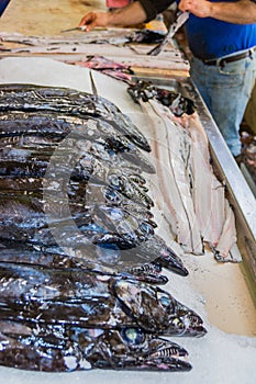 Traditional fish market Mercado dos Lavradores