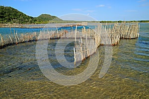 Traditional fish trap - Kosi Bay