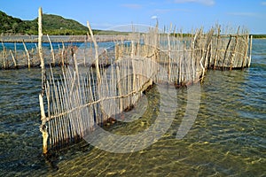 Traditional fish trap - Kosi Bay