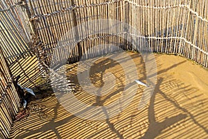 Traditional fish trap - Kosi Bay photo