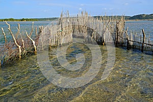 Traditional fish trap - Kosi Bay photo