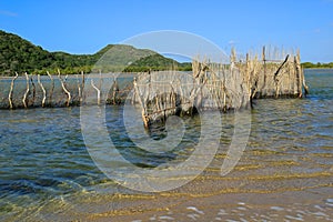 Traditional fish trap - Kosi Bay photo