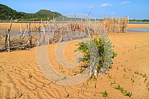 Traditional fish trap - Kosi Bay photo