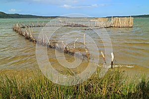 Traditional fish traps - Kosi Bay