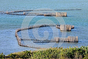 Traditional fish traps - Kosi Bay photo
