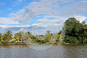 Traditional fishing boats and houses, Cayapas River, Esmeraldas province, Ecuador