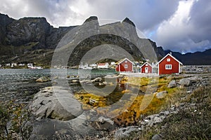 Traditional Fishing Hut Village Sakrisøya in Lofoten Islands, Norway.  Travel