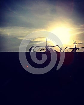 The traditional fishman on beach