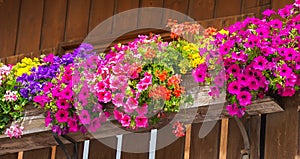 Traditional flowered balcony at the Alps and Dolomites. Colorful flowers on balcony. Summer time. Mix of flowers and colors