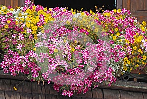 Traditional flowered balcony at the Italian Alps and dolomites