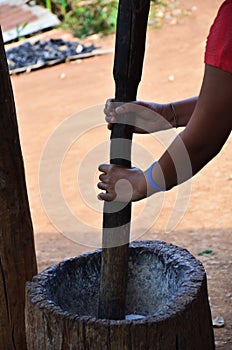 Traditional folk wisdom tribe karen people use large wooden mortar and big wood pestle for pounding rice grains thoroughly to