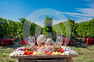 Traditional food plate with wine and vineyards in the background