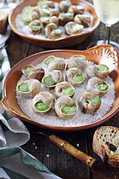 Traditional French dish: snails with sauce Burgundy and glass of wine