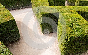 Traditional french garden labyrinth