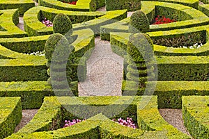 Traditional french garden. Ornamental Garden.