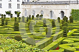 Traditional french garden. Ornamental Garden.