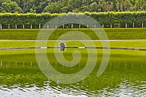 Traditional french garden. Water Garden