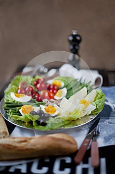 Tradizionale francese mar Mediterraneo la cucina pasto insalata 