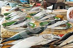 Traditional fresh fish market in Puger Jember photo