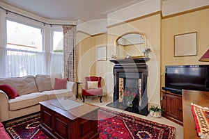 Traditional furnished living room