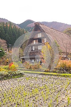 Traditional gassho-zukuri house in Shirakawa-go