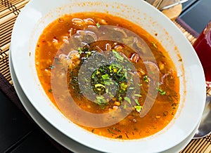 Traditional Georgian soup Kharcho