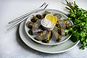 Traditional georgian tolma dish