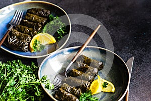 Traditional georgian tolma dish photo