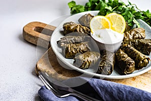 Traditional georgian tolma dish photo