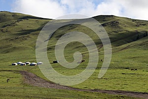 Traditional ger in the Orkhon valley in Mongolia