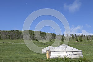 Traditional ger in the Orkhon valley in Mongolia