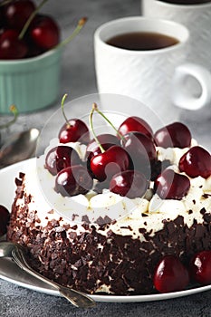 A traditional German chocolate and cherry cake Schwarzwald