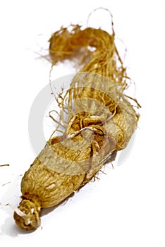 Traditional Ginseng Herb 01