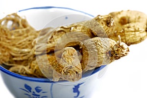 Traditional Ginseng Herb 02