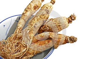 Traditional Ginseng Herb 02