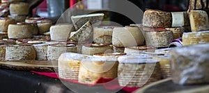 Traditional goat cheese typical of Liebana, Cantabria. Spain photo